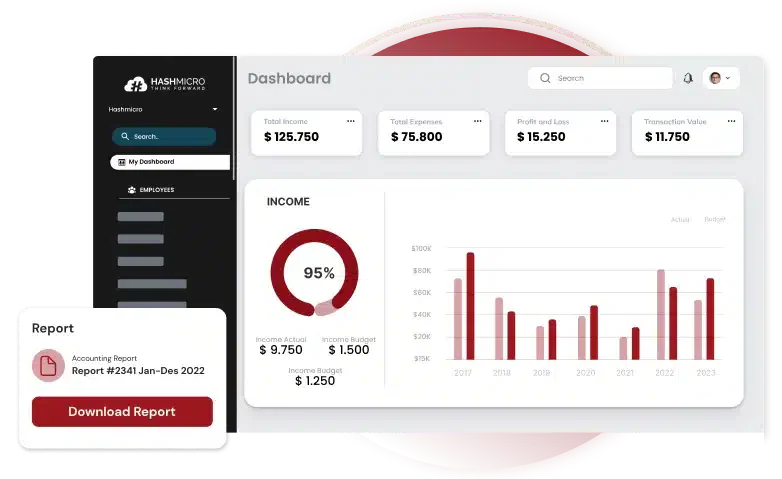 HashMicro Accounting Software as the Best Financial Management Solution