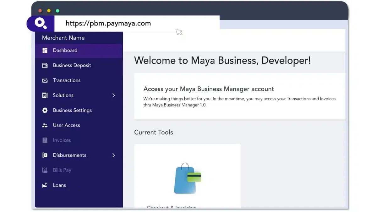 Maya POS provider
