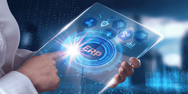Top 5 ERP Web Application Software in 2024