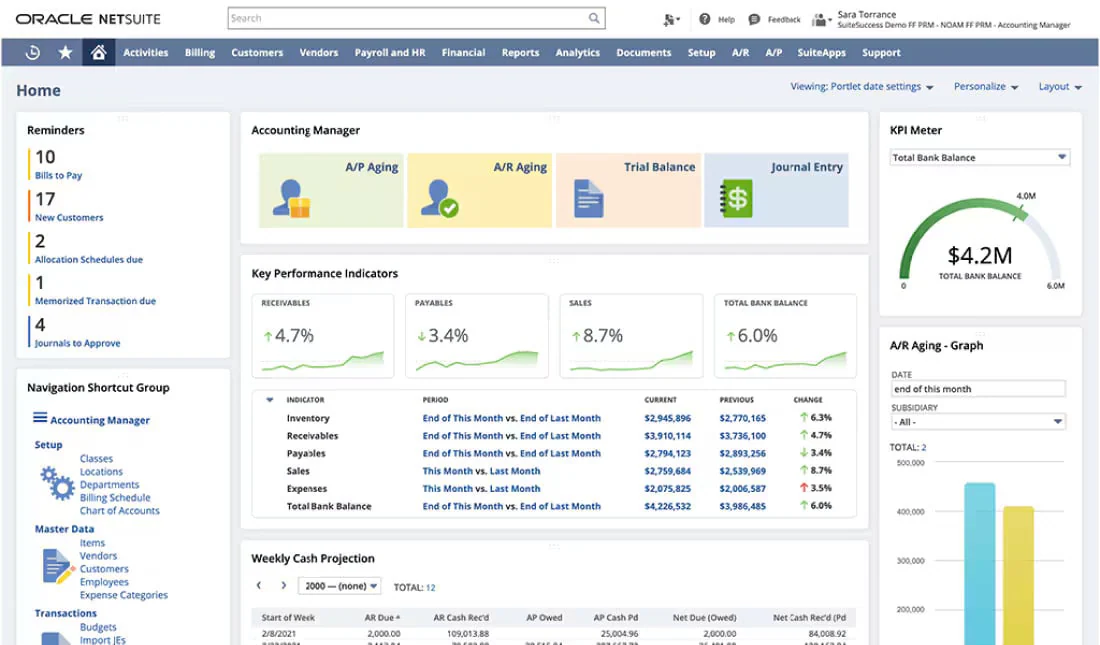 netsuite Accounting Software for Multiple Businesses