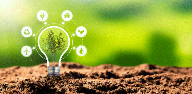 Sustainability of Environment and its Examples