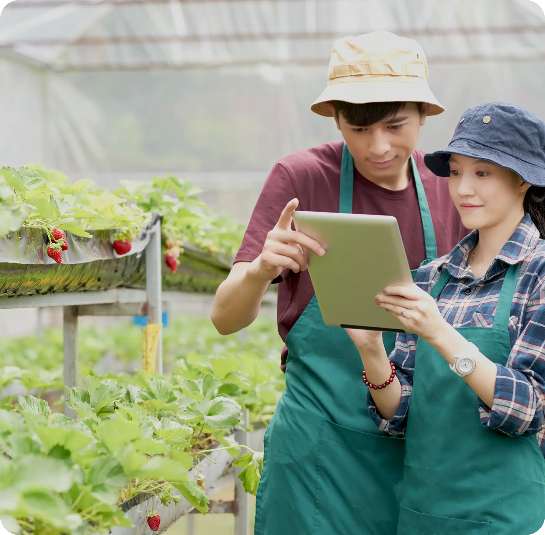 Procurement dashboard for Smart Agriculture